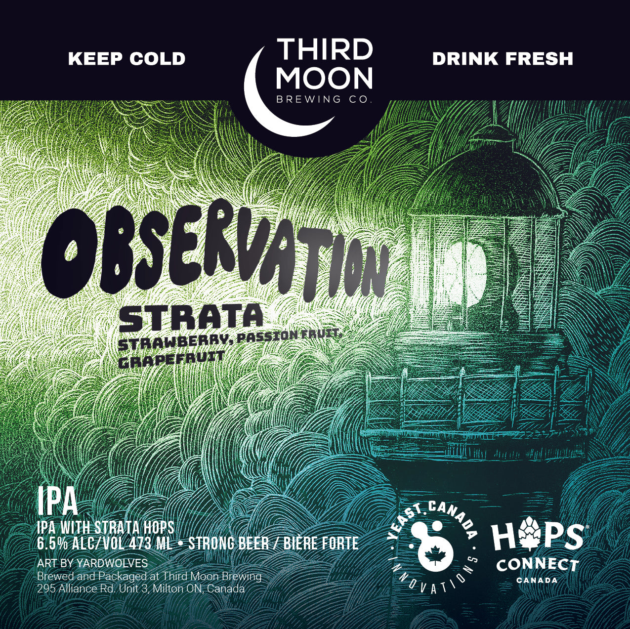 IPA - 4-pk of "Observation (Strata)" tall cans