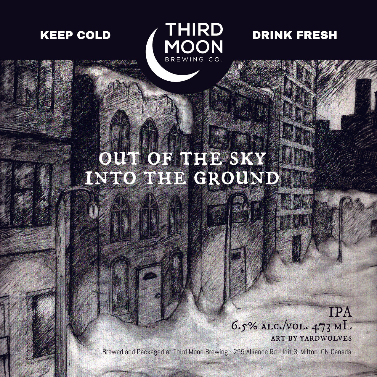 IPA - 4-pk of "Out Of The Sky Into The Ground" tall cans
